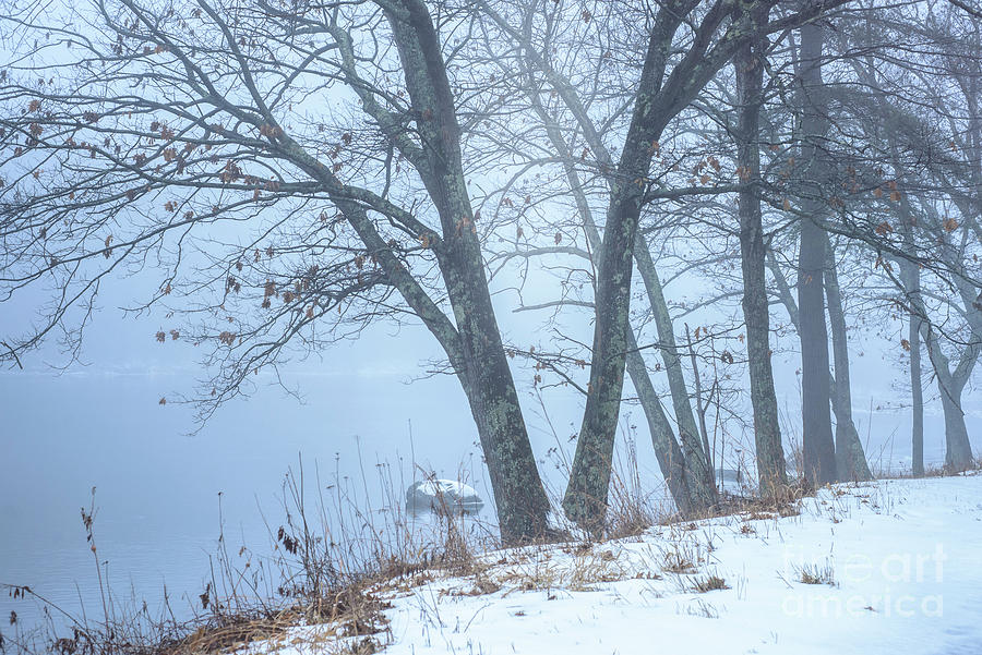 Foggy December Photograph by Alana Ranney