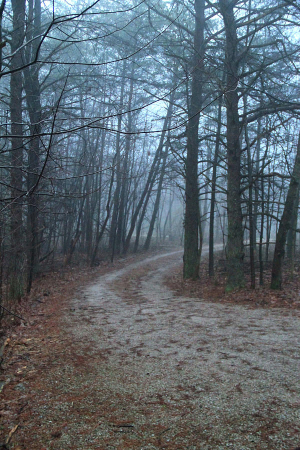 Foggy Dirt Road Photograph by Dan Sproul