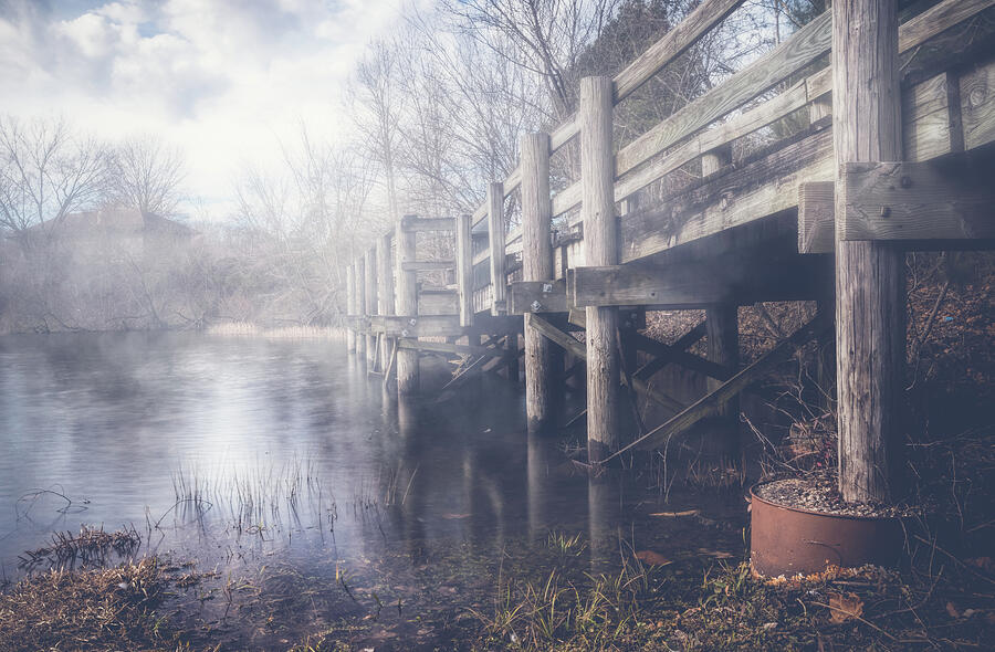 Foggy Dock Photograph by Lena Auxier