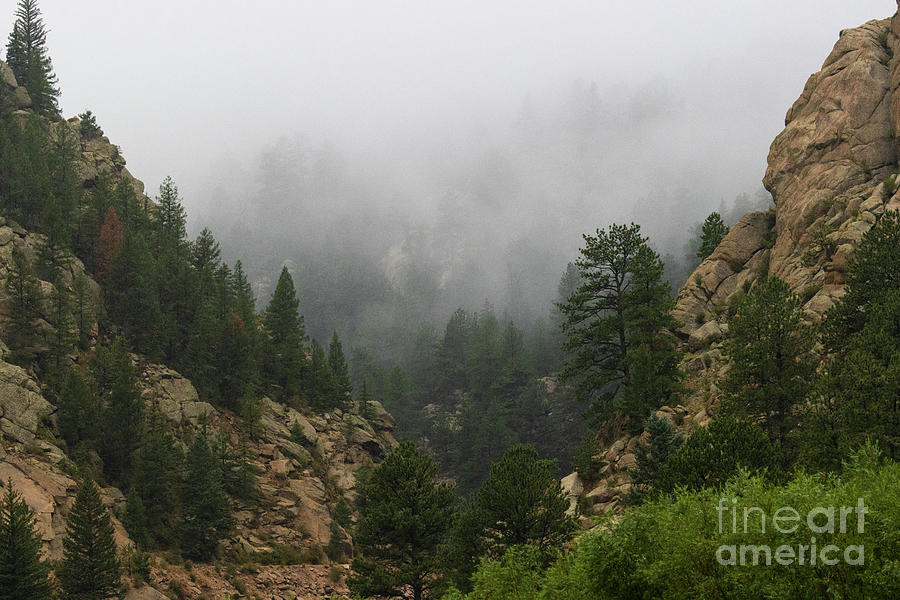 Foggy Eleven Mile Canyon Colorado Photograph by Steven Krull