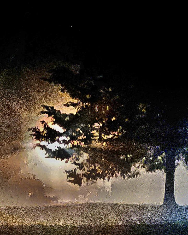 Foggy eve Photograph by Stephen Dorton