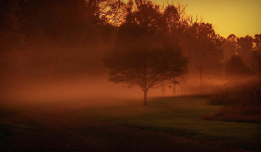 Foggy Evening in the Parkway Photograph by Jason Fink