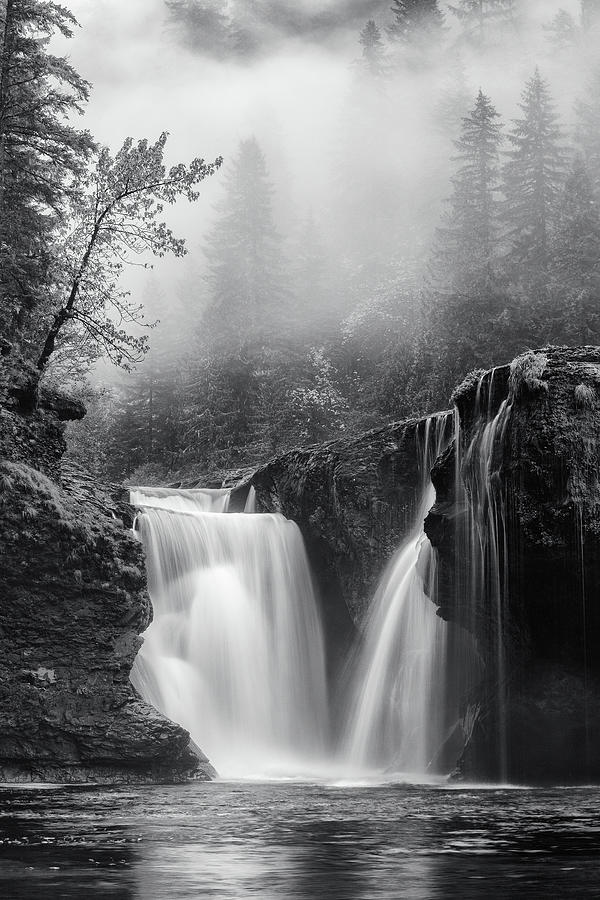 Landscape Photograph - Foggy Falls OP Cover by Darren White