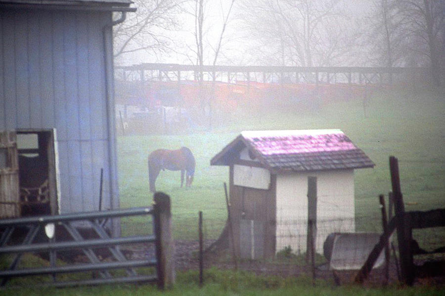 Foggy Farm Photograph by Jerry Griffin