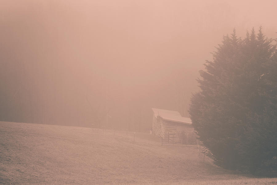 Foggy Farm Morning Photograph by Joni Eskridge