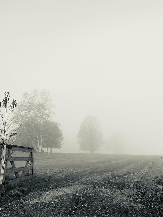 Foggy Farmland Photograph by Joe Grabowski - Fine Art America