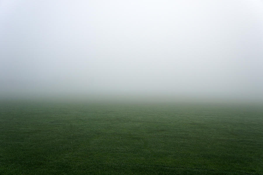 Foggy Field Photograph by Richard Newstead