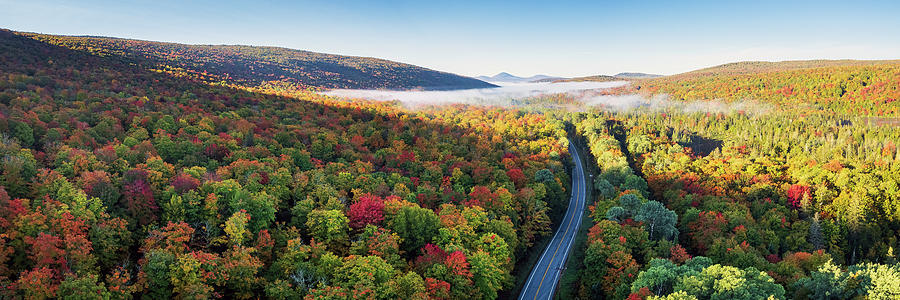 Foggy Foliage in Warrens Gore, Vermont  Photograph by John Rowe