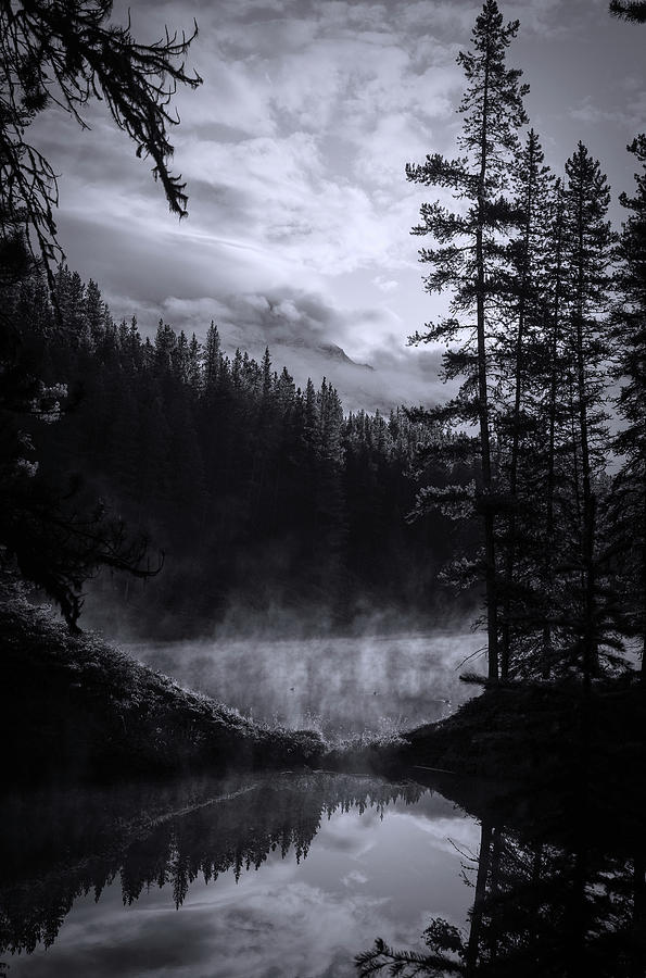 Foggy Forest Lake Black And White Photograph by Dan Sproul