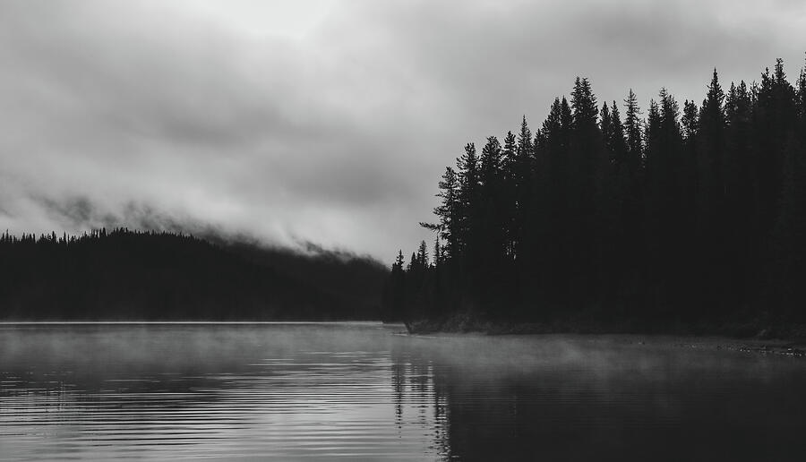 Foggy Forest Reflection Black And White Photograph by Dan Sproul