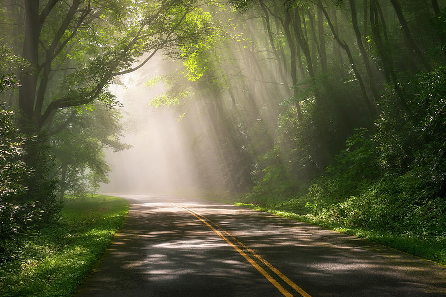 Tree Photograph - Foggy Forest Road Light Rays Scenic Blue Ridge Parkway North Carolina by Dave Allen