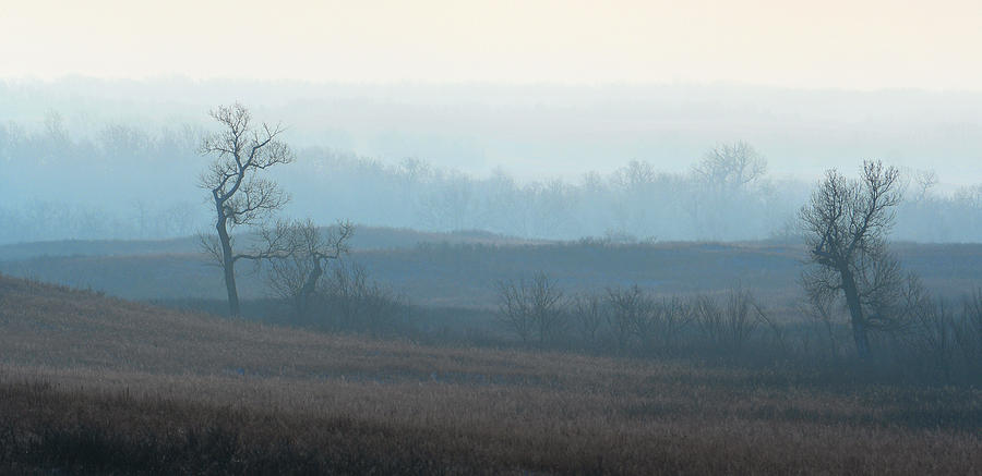 Foggy Frosty Morning Prairie Photograph by David Drew