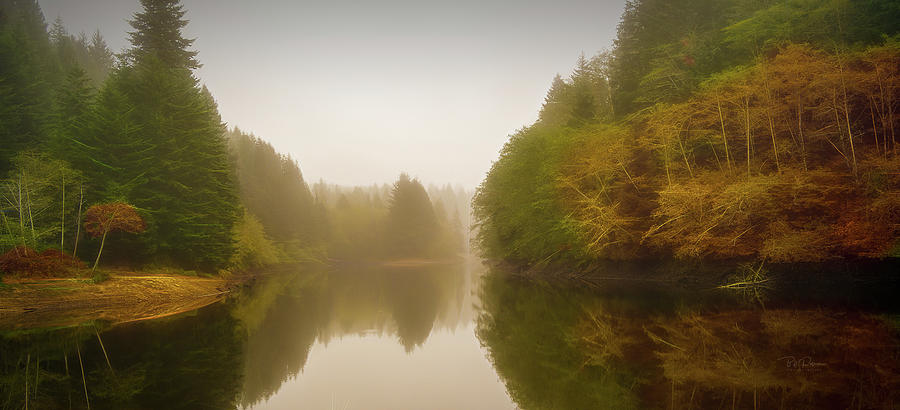 Foggy Glow Morning Photograph by Bill Posner