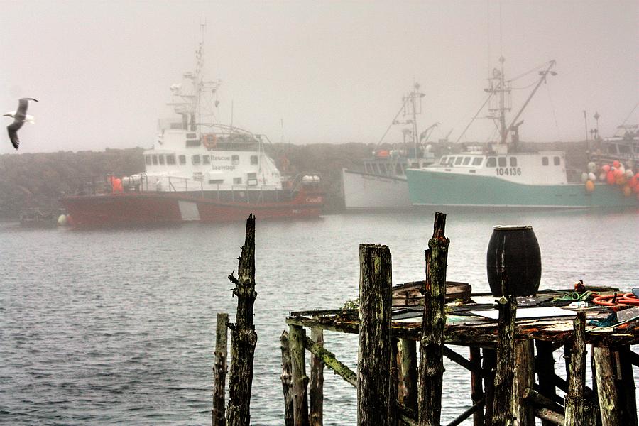 Foggy Harbour  Photograph by David Matthews