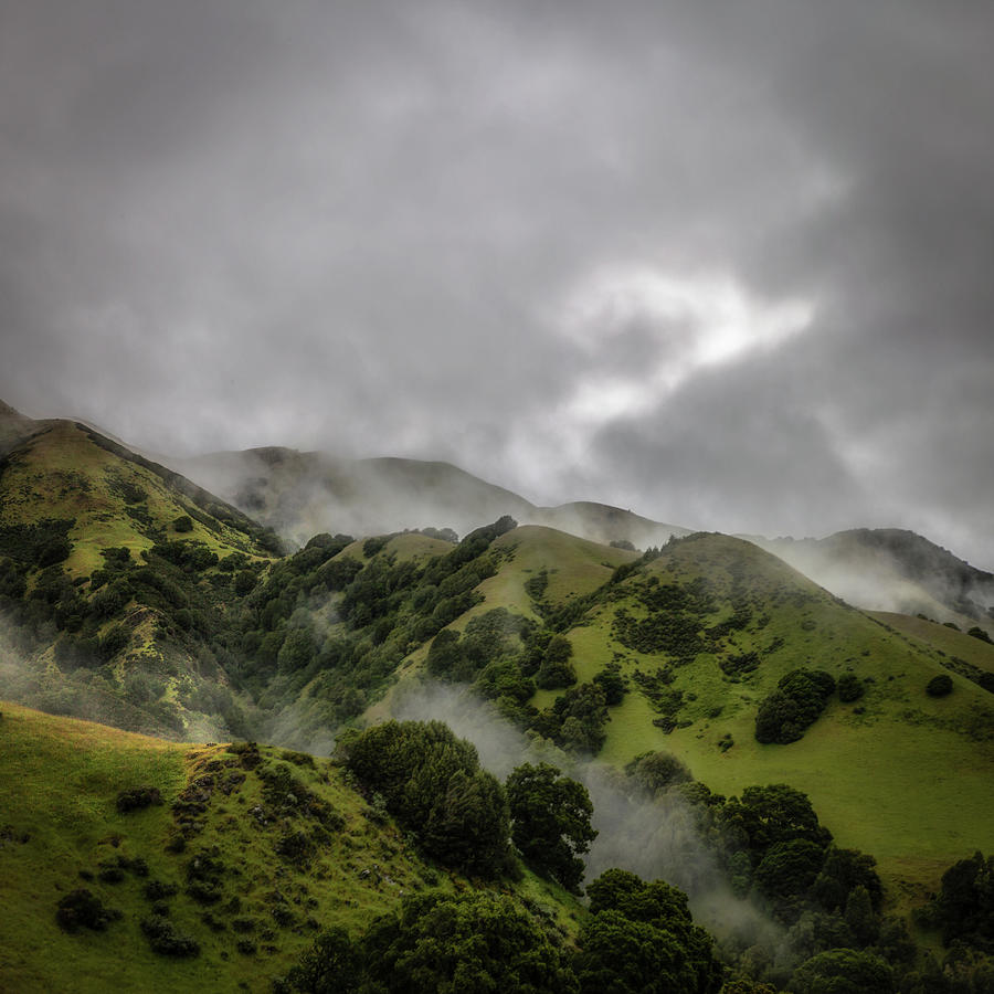 Foggy Hills, Las Gallinas Valley Photograph by Donald Kinney