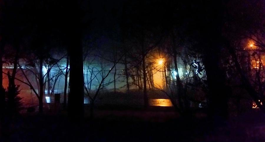 Foggy January Night  Photograph by Ally White