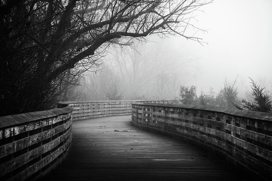 Foggy Jordan Creek Greenway Black and White Photograph by Jason Fink