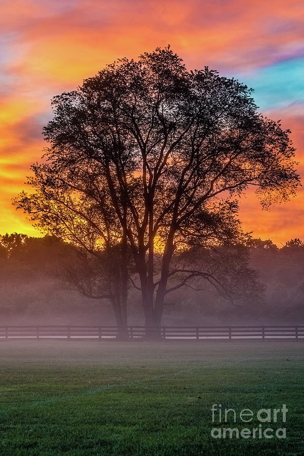 Foggy Kentucky Sunrise - Louisville Photograph by Gary Whitton