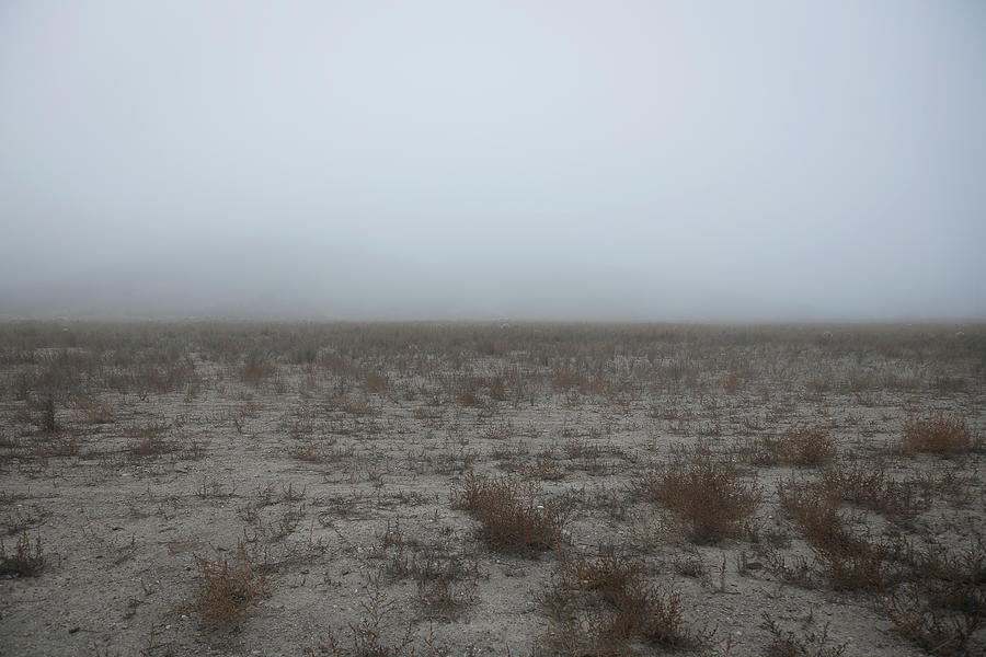 Foggy Landscape Photograph by Alison Frank