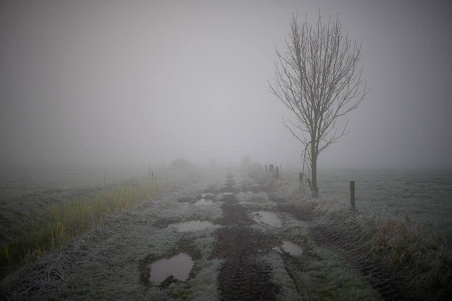 Foggy landscape with its own atmosphere Photograph by Jenco Van Zalk ...