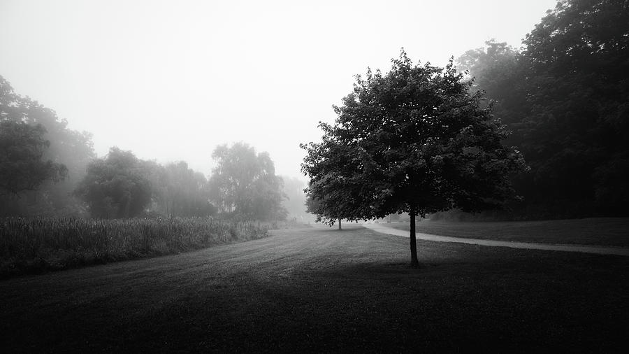 Foggy Lehigh Parkway Black and White Photograph by Jason Fink