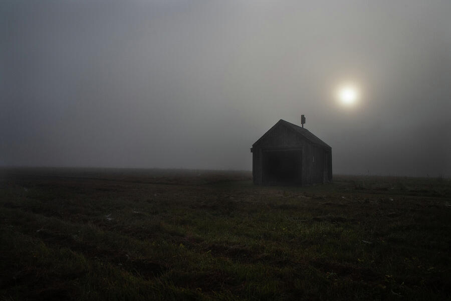Foggy Meadow I Photograph by Steven David Roberts Foggy Meadow I Photograph by Steven David Roberts