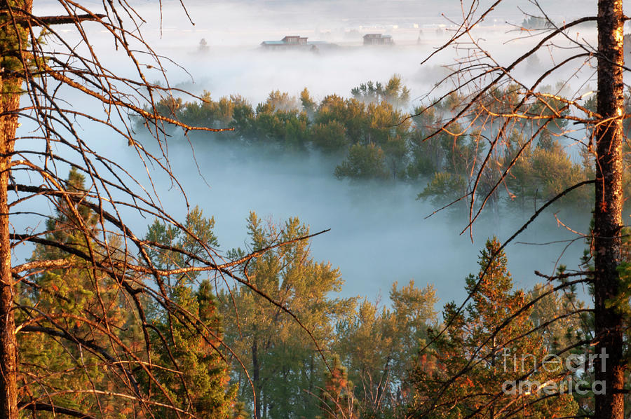 Foggy Mist On Blue Mountain Photograph by Pamela Dunn-Parrish