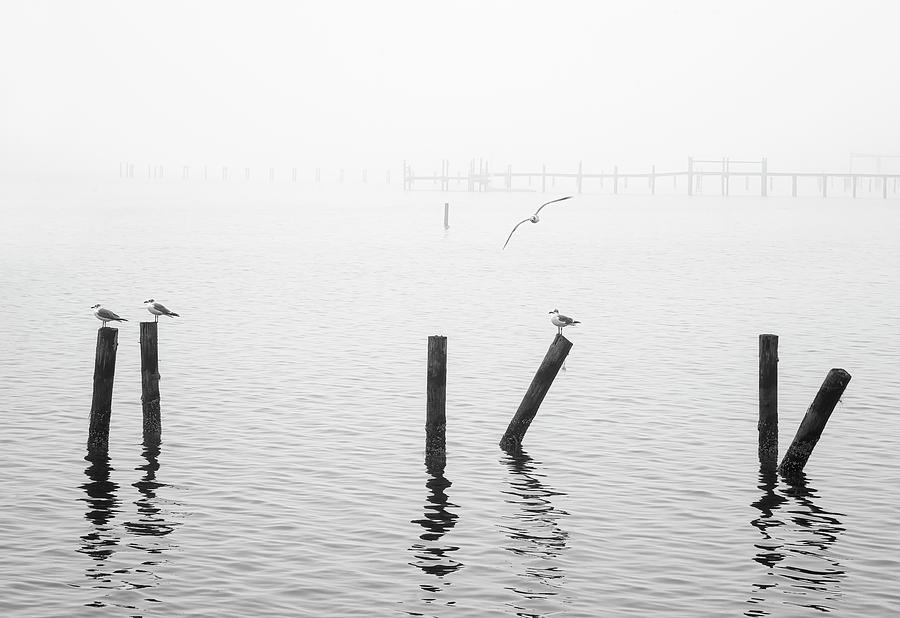 Foggy Morn on the Bay Photograph by Bill Chambers
