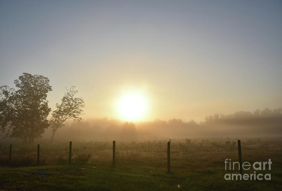 Foggy Morning 3 Photograph by Andrea Anderegg