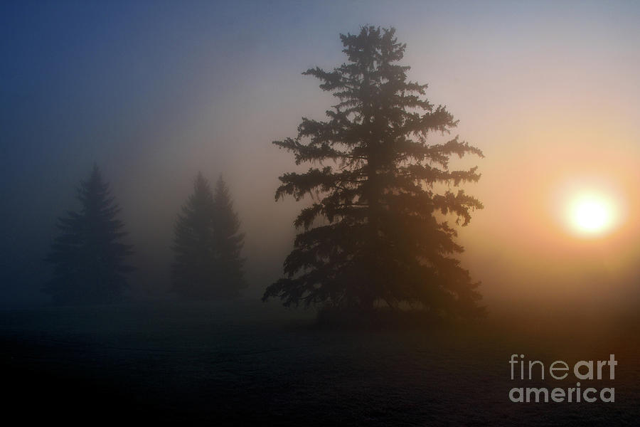 Foggy Morning 3 Photograph by Terry Elniski