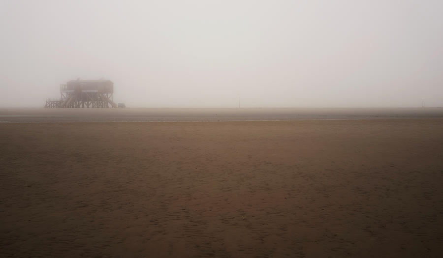 Foggy morning #4 Photograph by Stefan Knauer