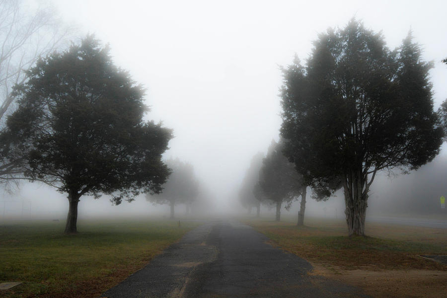 Foggy Morning Photograph by Addison Likins