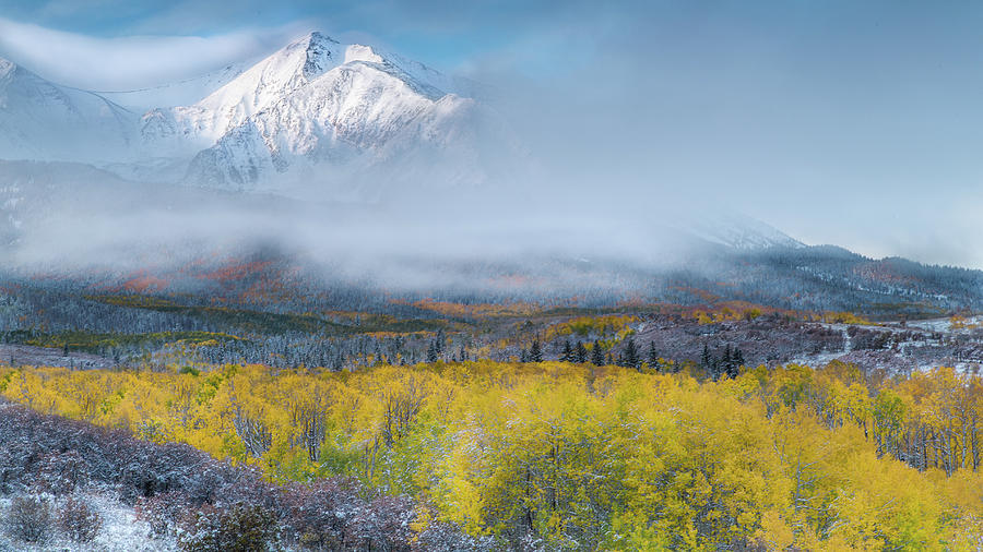 Fall Photograph - Foggy Morning - Aspen Colorado by Larry Marshall