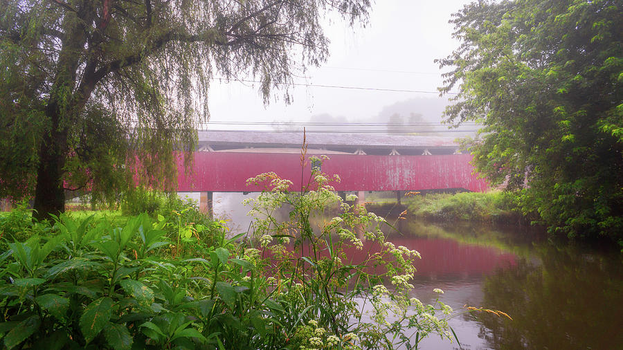 Foggy Morning at Bogert Covered Bridge Photograph by Jason Fink