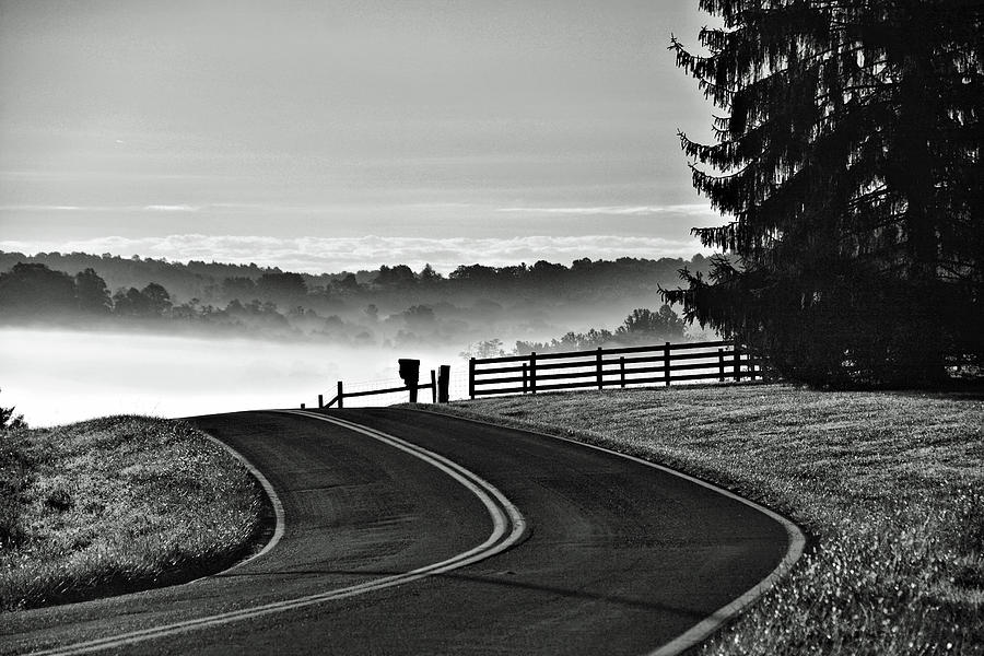Foggy Morning at Conners Grove Photograph by Ben Prepelka