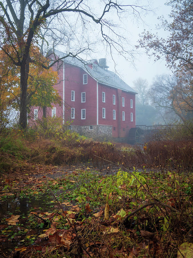 Foggy Morning at Kirbys Mill  Photograph by Kristia Adams