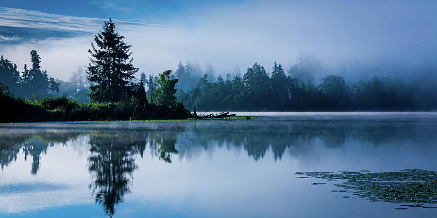 Foggy morning at Lake Ballinger Photograph by Tommy Farnsworth
