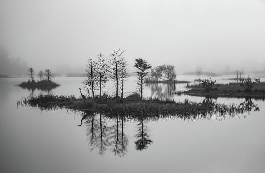 Foggy Morning at Lakes Park Photograph by Geraldine Alexander