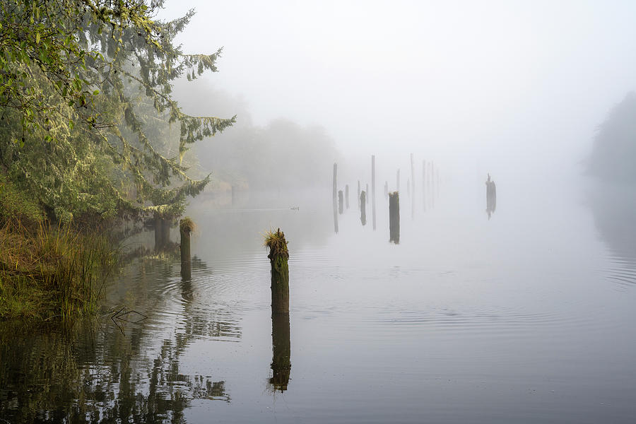 Foggy Morning at Netul River Photograph by Robert Potts