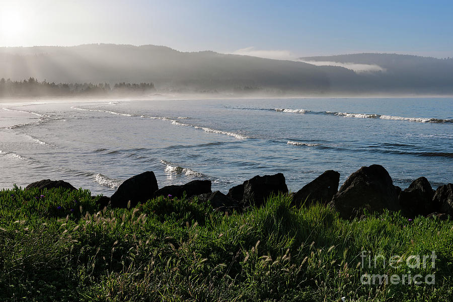Foggy Morning at the Coast Photograph by Sandra Bronstein
