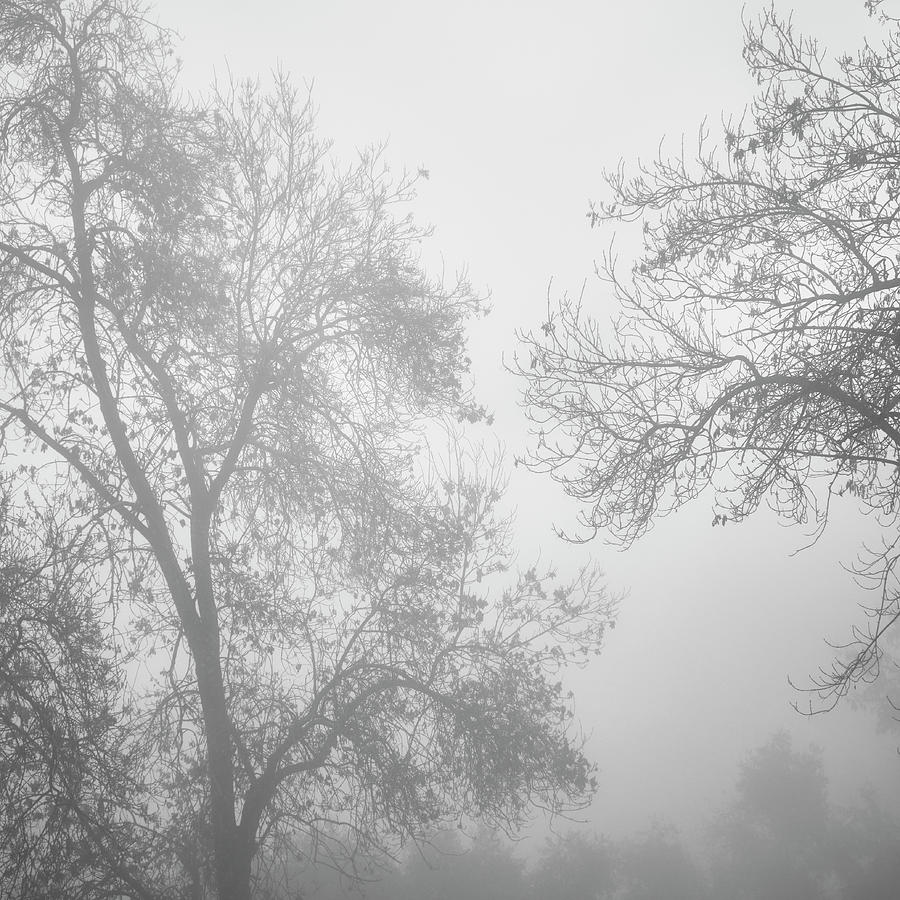 Foggy morning at the mountains. Sierra Nevada. Spain Photograph by ...