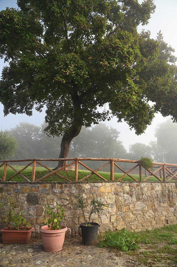 Foggy Morning at Tuscany Rural Villa 1 Photograph by Jenny Rainbow