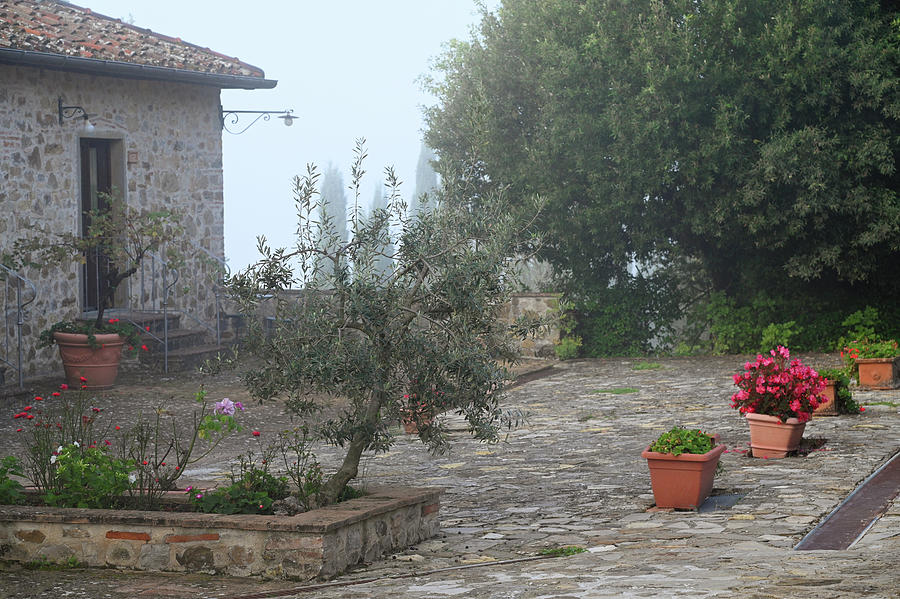 Foggy Morning at Tuscany Rural Villa 3 Photograph by Jenny Rainbow