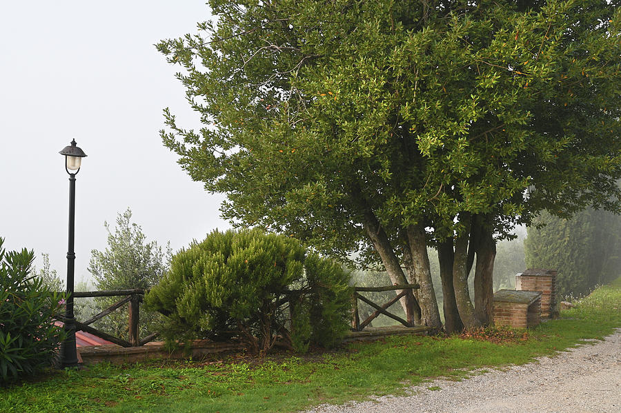 Foggy Morning at Tuscany Rural Villa 5 Photograph by Jenny Rainbow