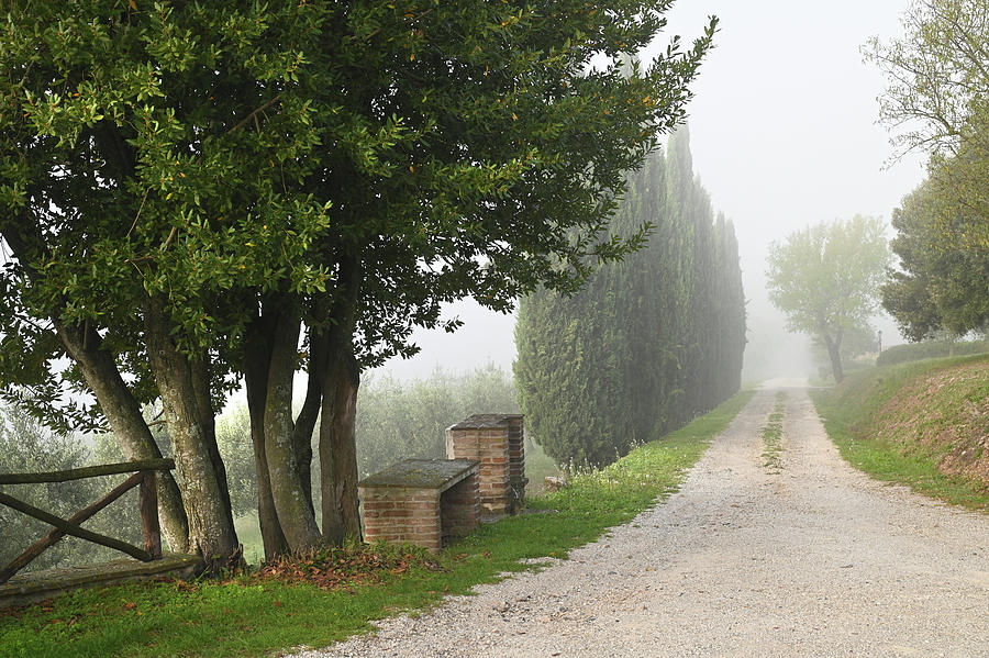 Foggy Morning at Tuscany Rural Villa 6 Photograph by Jenny Rainbow