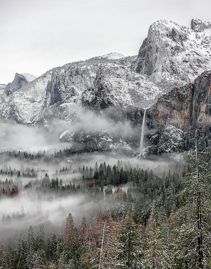 Foggy morning Bridalveil Fall Photograph by Rudy Wilms