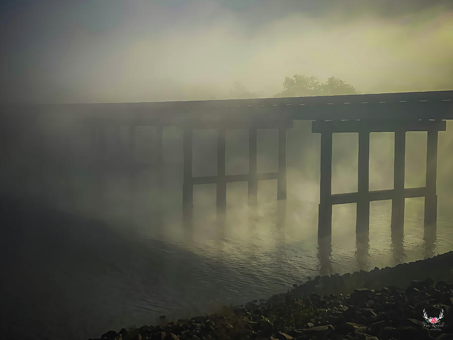 Foggy Morning Bridge Photograph by Pam Rendall
