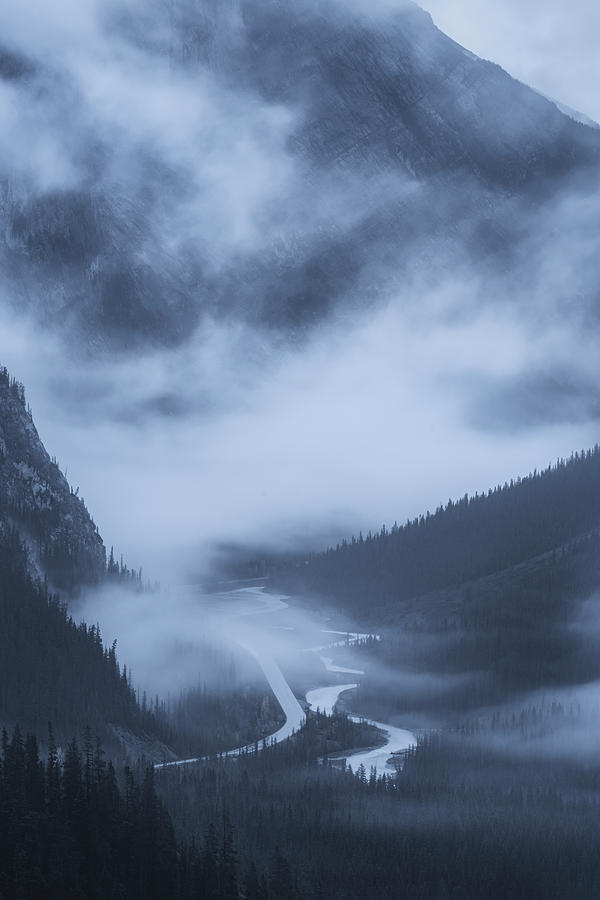 Foggy Morning, Canadian Rokies, Banff National Park Photograph by Yves Gagnon