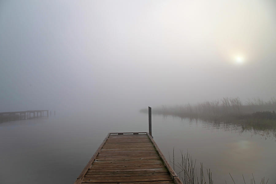 Foggy Morning Photograph by Dart Humeston