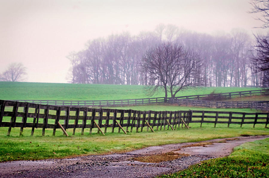 Foggy Morning in Chester County Photograph by Susan Maxwell Schmidt